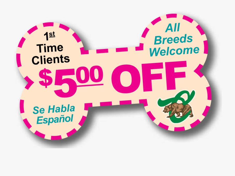 Picture, Transparent Clipart