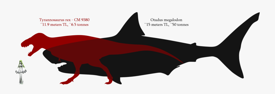 Clip Art Imagens Do Megalodon - Spinosaurus Vs Megalodon Size, Transparent Clipart