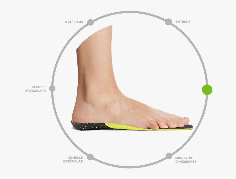 Graphic Freeuse Ankle Drawing Foot Heel - Circle, Transparent Clipart