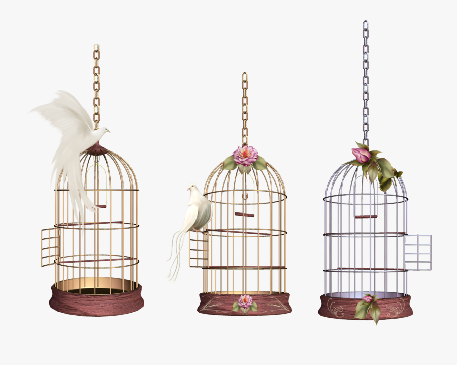 Bird Cage Png, Transparent Clipart