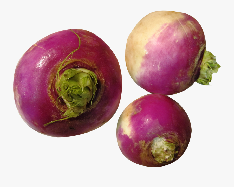 "
										 Title=" - Turnip Png, Transparent Clipart