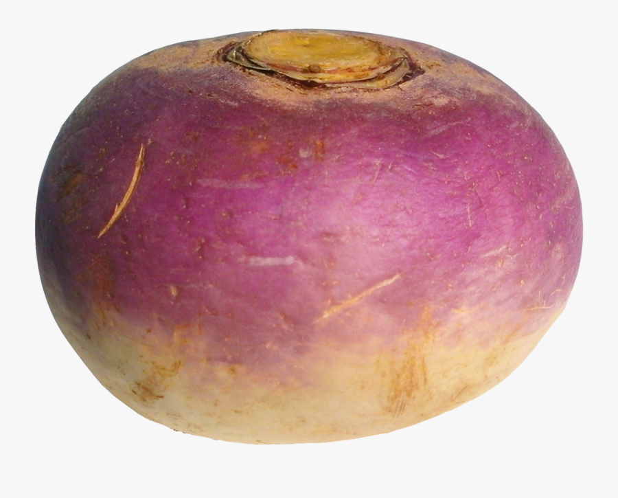"
										 Title=" - Turnip, Transparent Clipart
