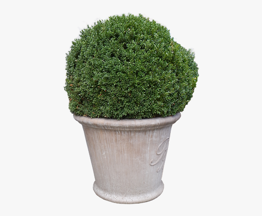 Freetoedit Vaso Planta Vase Plant - Big Flower Vase Png, Transparent Clipart