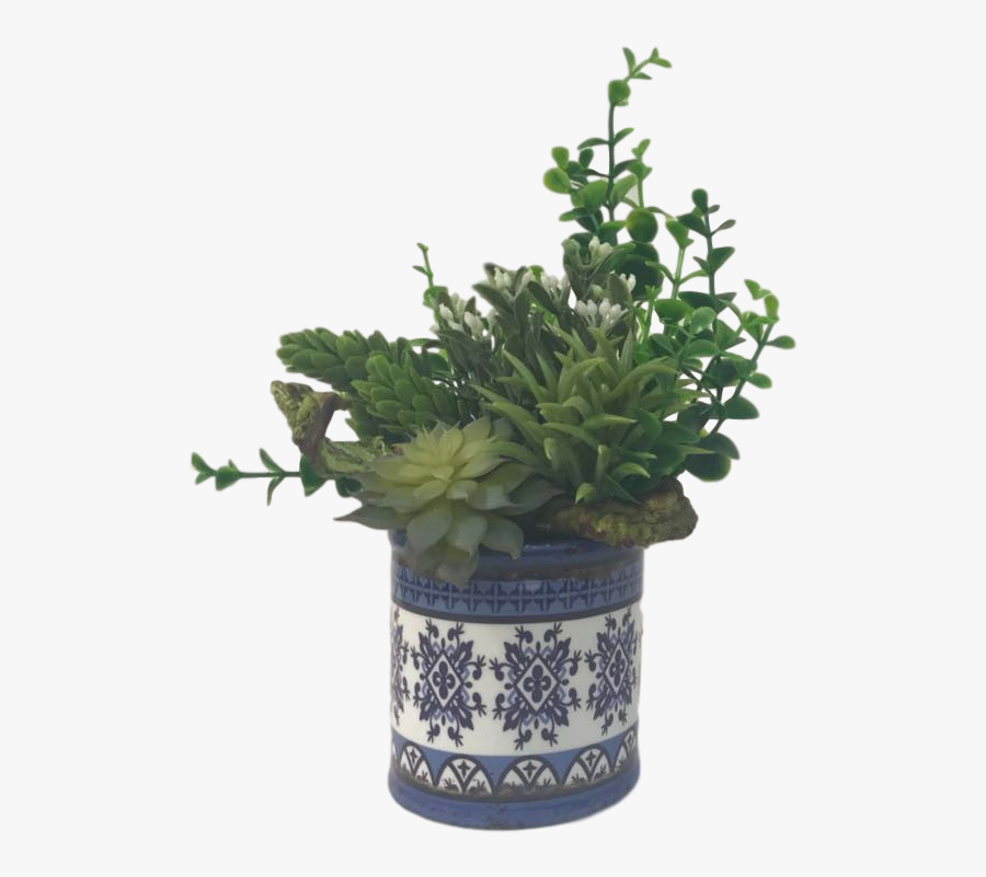 Vaso De Suculentas - Flowerpot, Transparent Clipart
