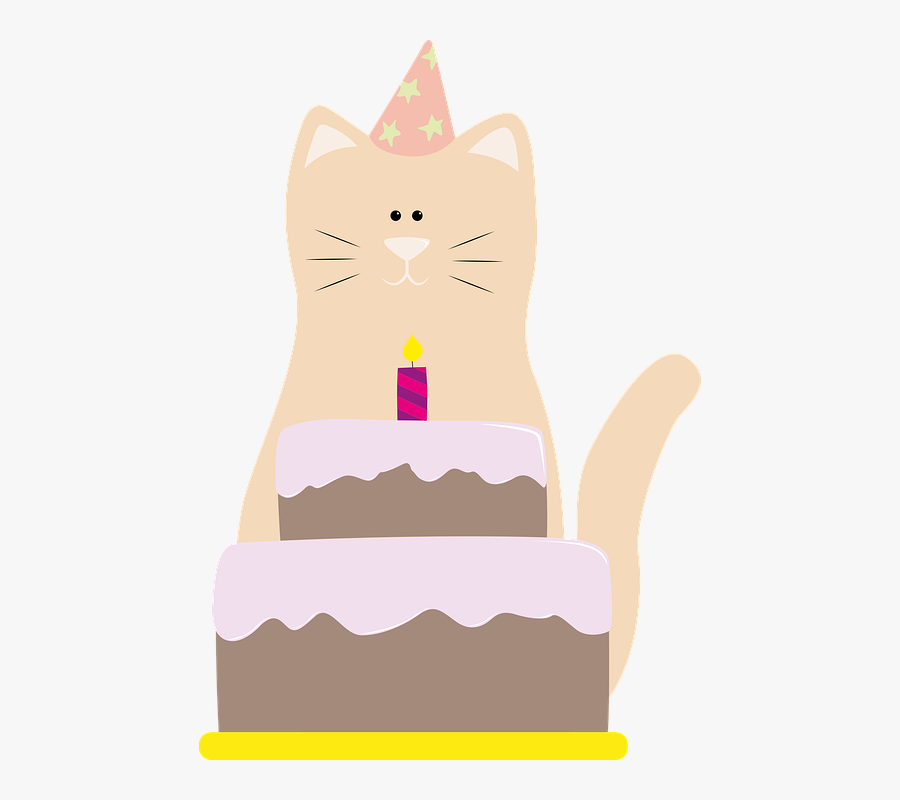 Cat, Birthday, Cake, Birthday Cake, Kitten, Cute - Gato Con Gorro De Cumpleaños, Transparent Clipart