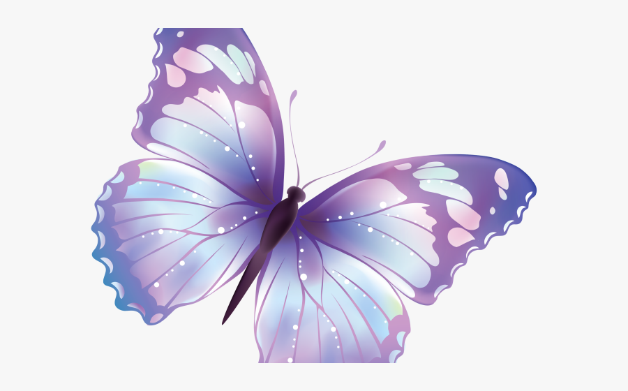 Butterfly Clipart Transparent Background, Transparent Clipart