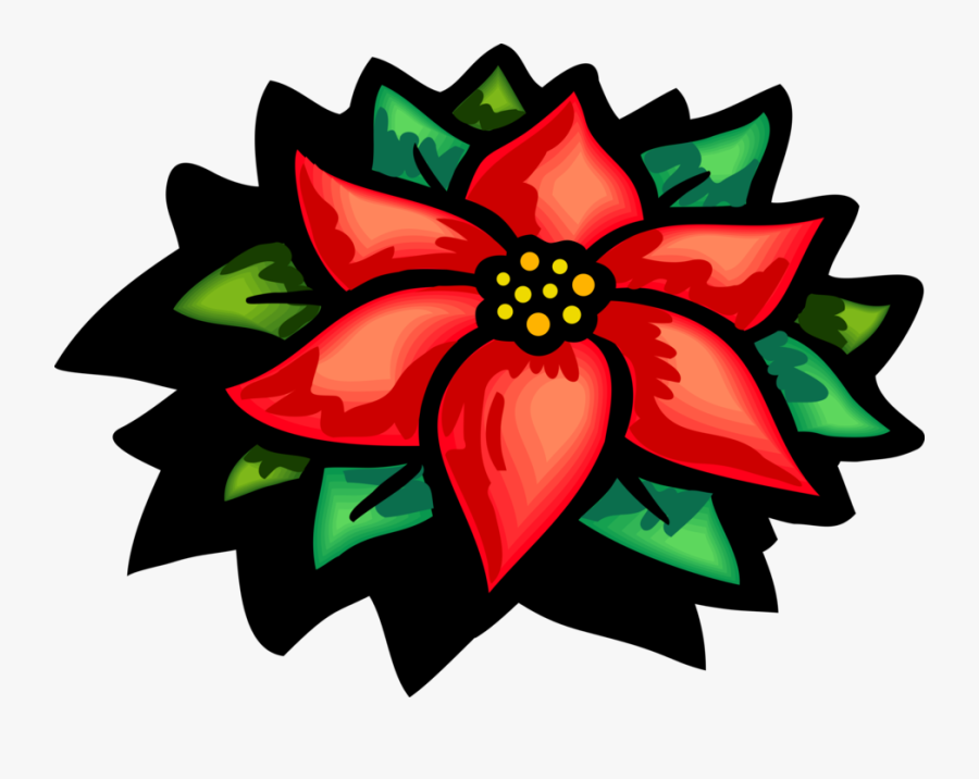 Vector Illustration Of Poinsettia Traditional Christmas - Poinsettia Clipart, Transparent Clipart