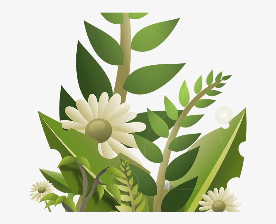 Water Plants Png, Transparent Clipart