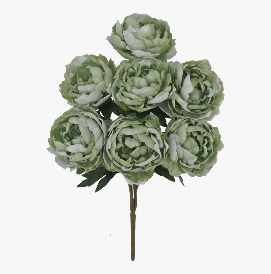 22 - White Mexican Rose, Transparent Clipart