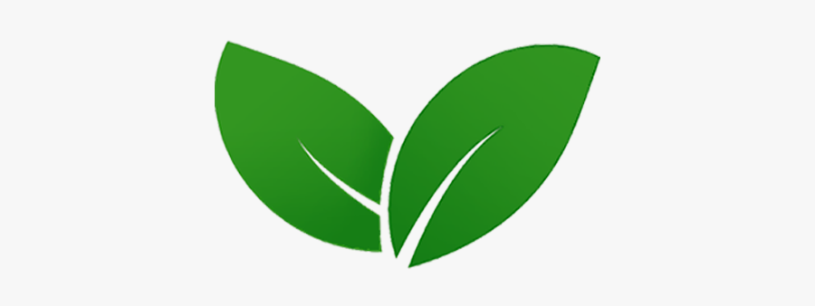 Eco Green Leaf Png, Transparent Clipart