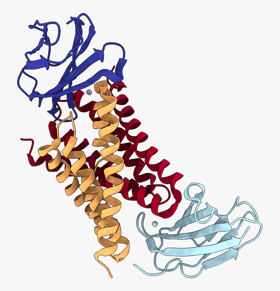 Chains Colored In Rainbow, Transparent Clipart