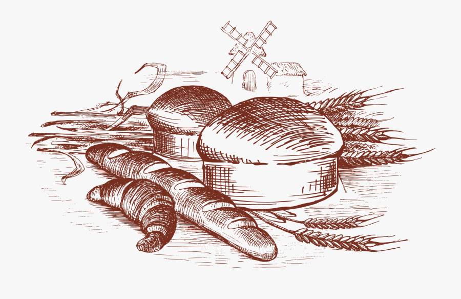 About-img1 - Bread Sketch Png, Transparent Clipart