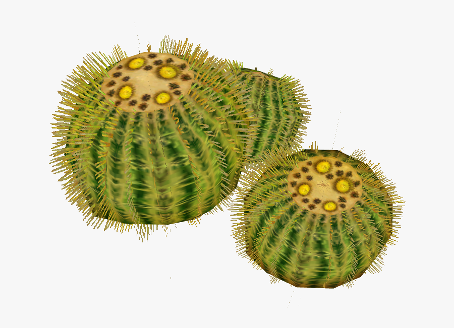 Transparent Cactus Png - Barrel Cactus Png, Transparent Clipart