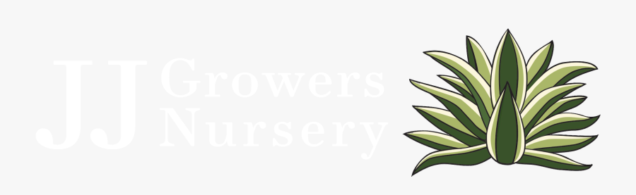 Com/wp Jj - Illustration, Transparent Clipart