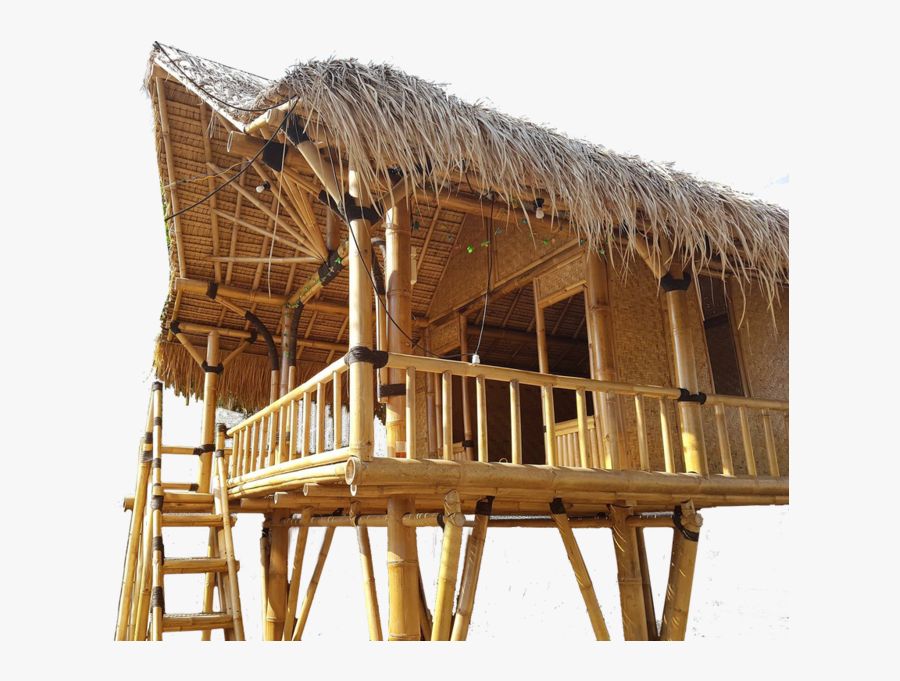 Bungalow Bamboo Sunshine Coas - Bamboo Hut Png, Transparent Clipart