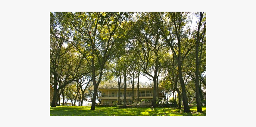 Oak House On Lake Lbj Burnet Tx Resort Reviews - Grove, Transparent Clipart