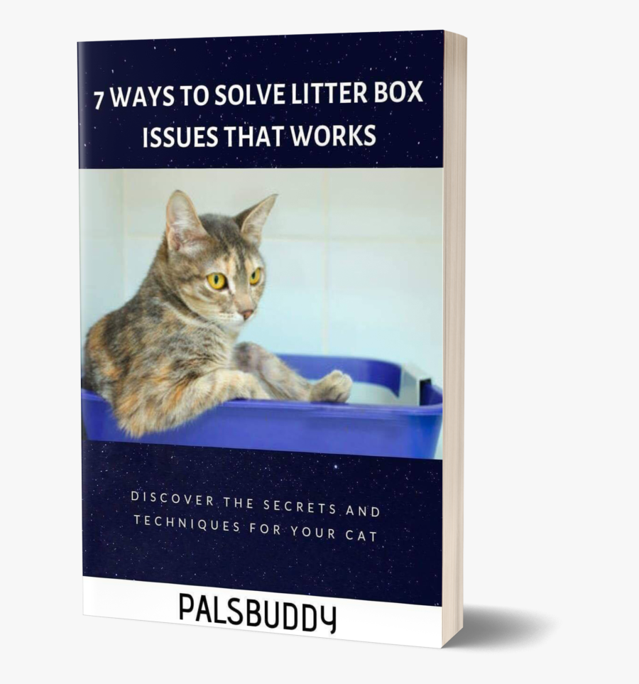 Cat Grabs Treat, Transparent Clipart