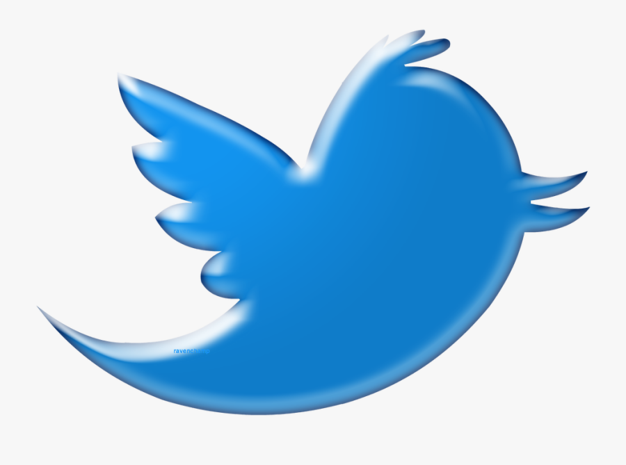 Twitter Bird Icon Transparent Background - Twitter Bird Logo Png Transparent Background, Transparent Clipart