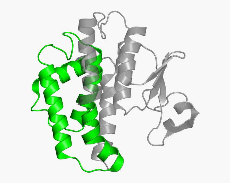 <div Class="caption-body, Transparent Clipart