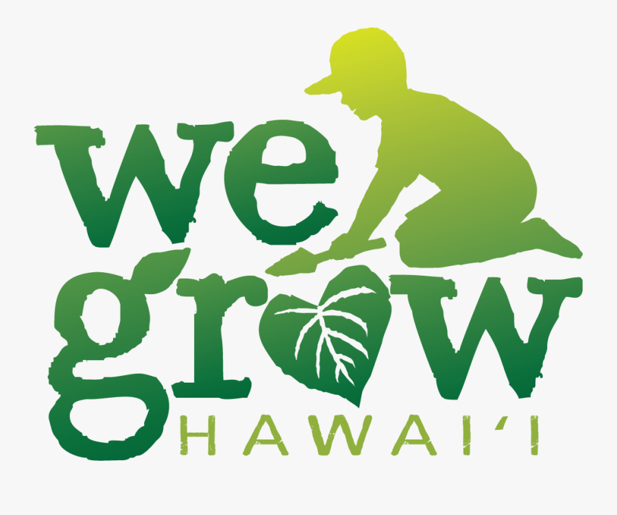 Graphic Design, Transparent Clipart