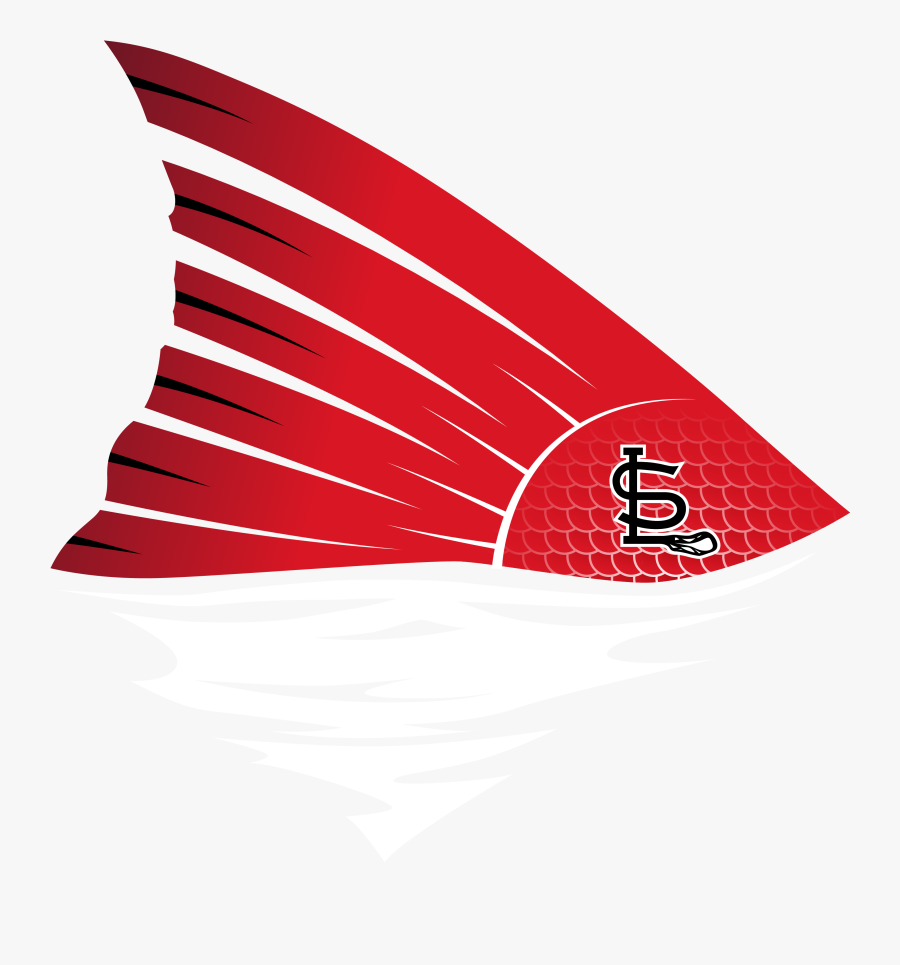 Graphic Design, Transparent Clipart