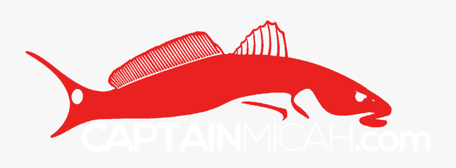 Red Drum Fish Logo, Transparent Clipart