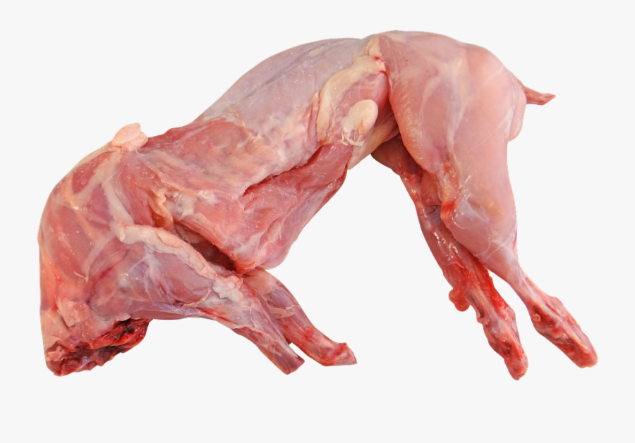 Transparent Meat Goat Clipart - Rabbit Meat, Transparent Clipart