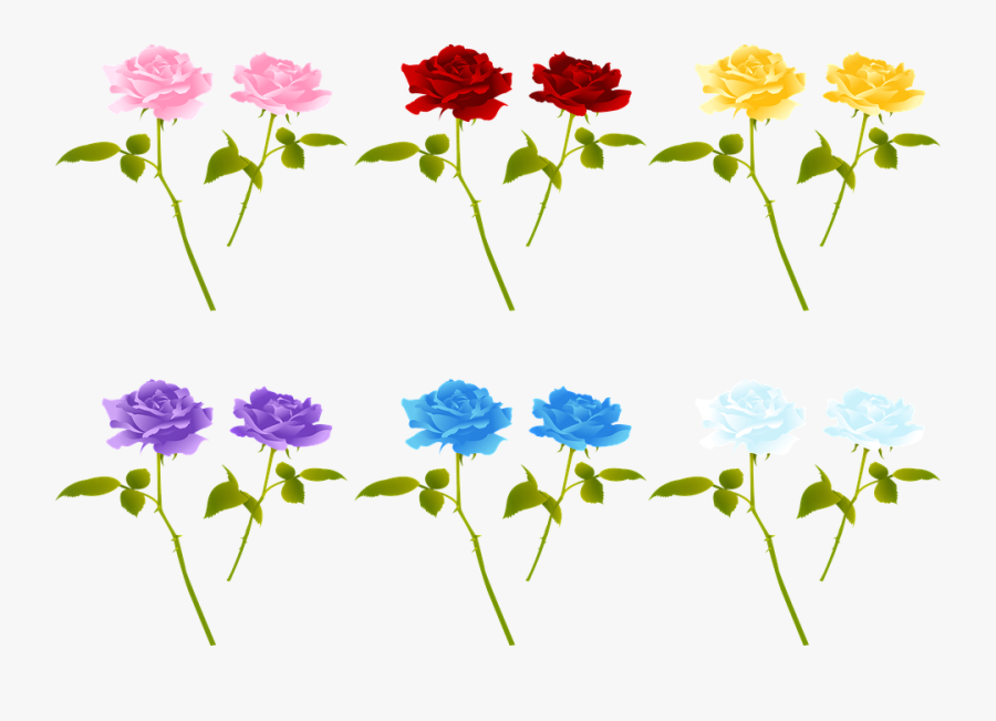 Rose Stem, Roses, Red, Stem, Floral, Blossom, Plant - バラ イラスト フリー, Transparent Clipart