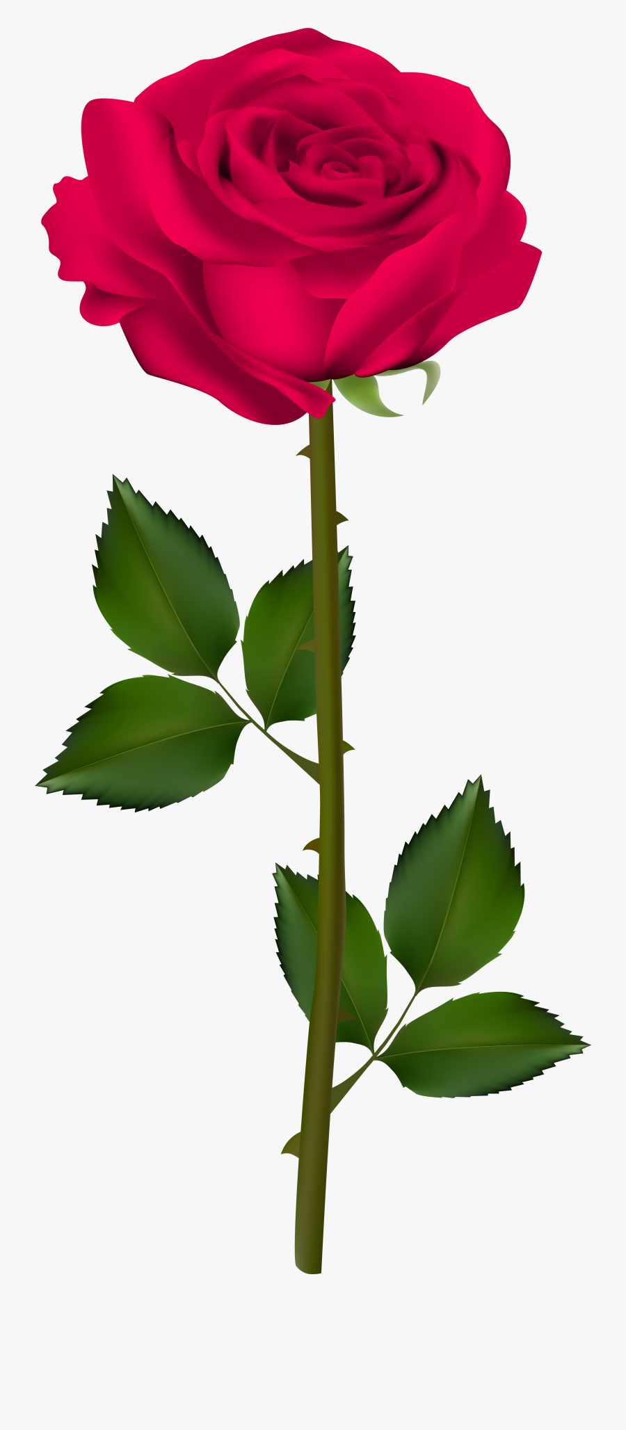 Pink Transparent Clip Art, Transparent Clipart