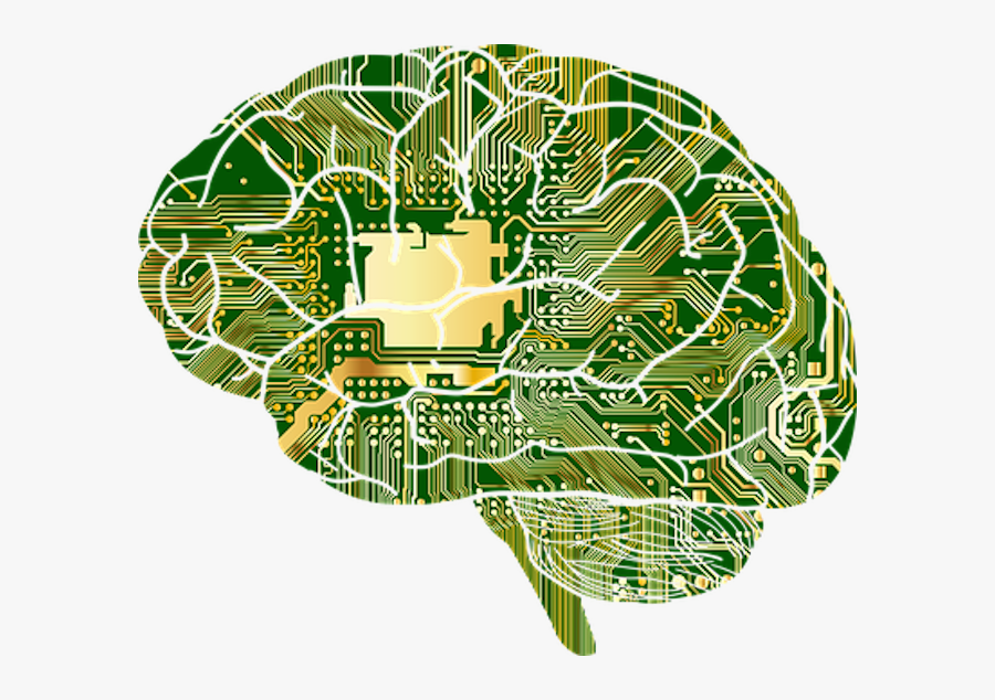 Brain Computer, Transparent Clipart