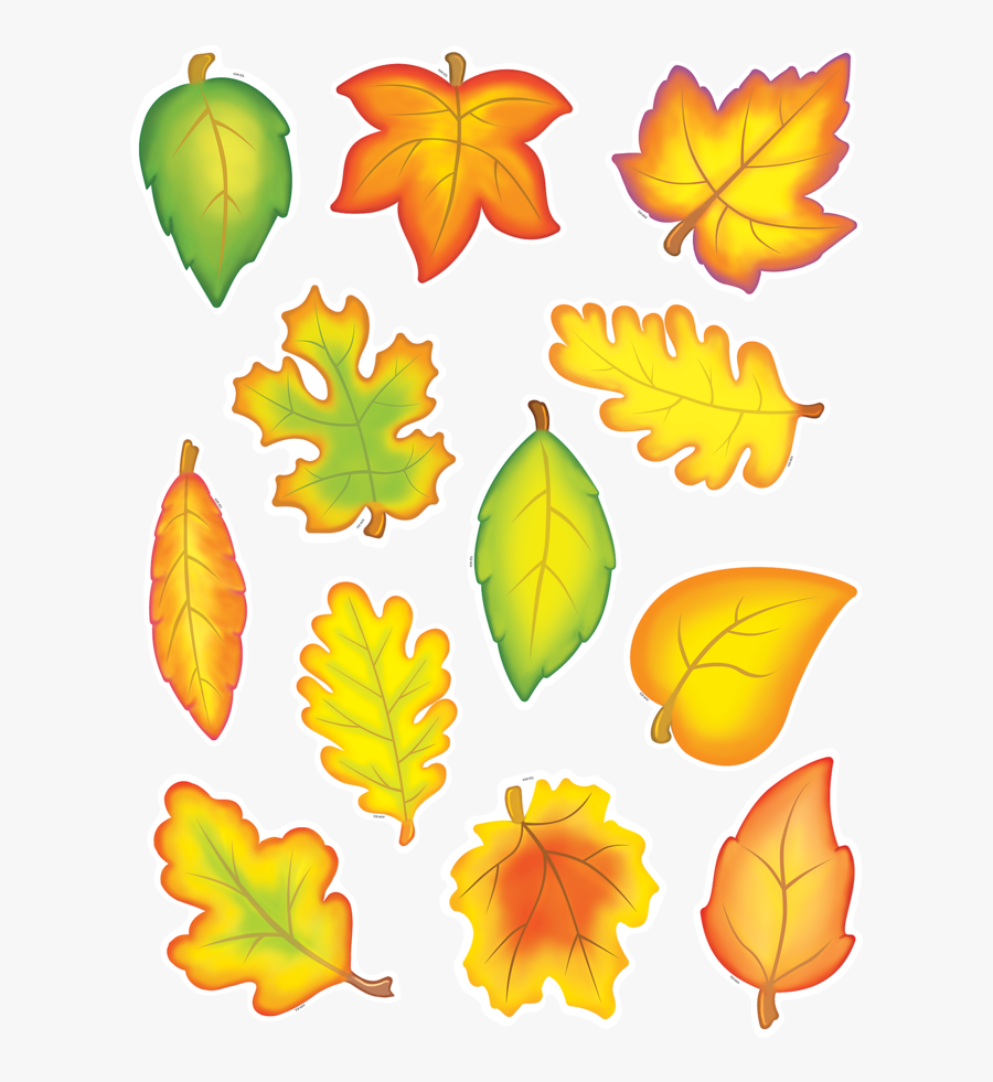 Tcr4419 Fall Leaves Accents Image - Fall Leaves Bulletin Board, Transparent Clipart