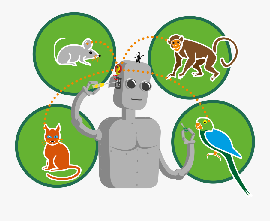 Cartoon, Transparent Clipart