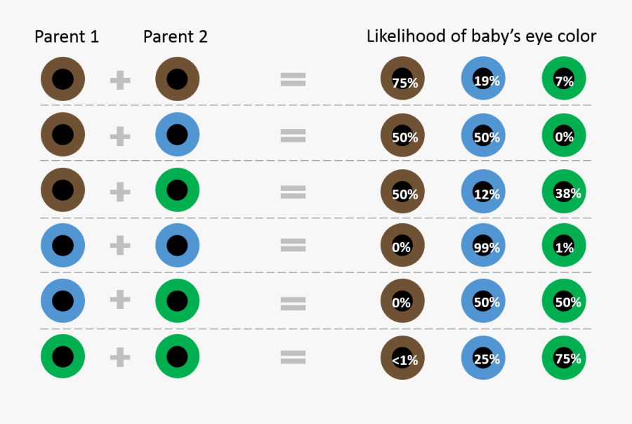 Clip Art Baby Eye Color Chart - Both Parents Have Green Eyes , Free ...