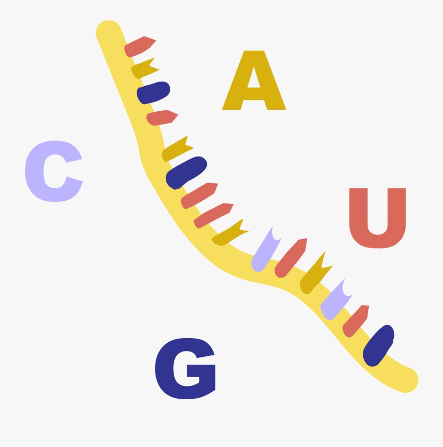 Art - Harley Davidson Lady Logo, Transparent Clipart