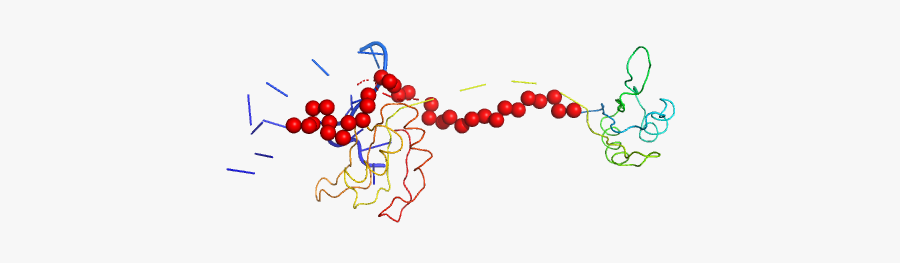 Protein Sex-lethal Mutant Rna Decaneucleotide Ugu8 - Illustration, Transparent Clipart