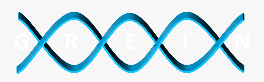 Geo Rna-seq Experiments Interactive Navigator, Transparent Clipart