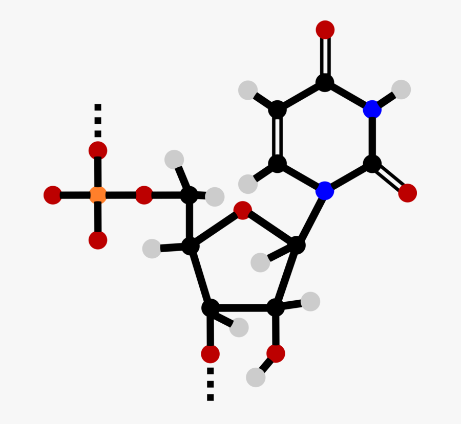 Triphosphate - Nucleotide Clipart, Transparent Clipart