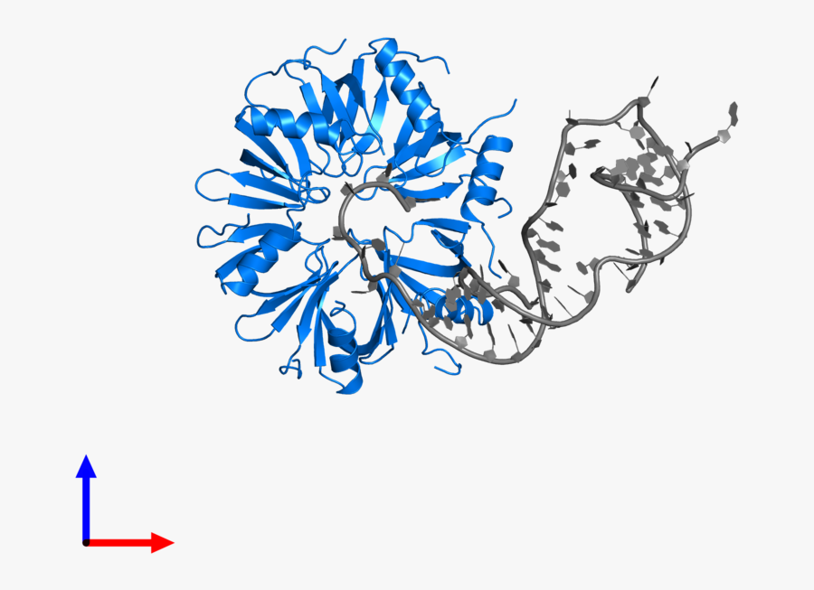 Graphic Design, Transparent Clipart