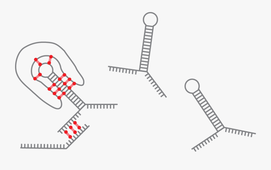 Graphic Design, Transparent Clipart