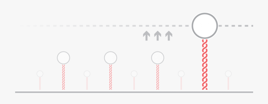 Afs Dna Rna Mechanics - Circle, Transparent Clipart