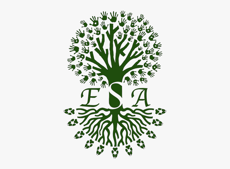 Armor Is Just A Retard, Transparent Clipart