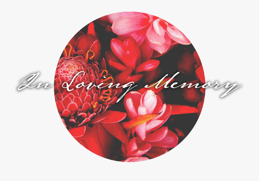 Transparent In Loving Memory Png - Artificial Flower, Transparent Clipart