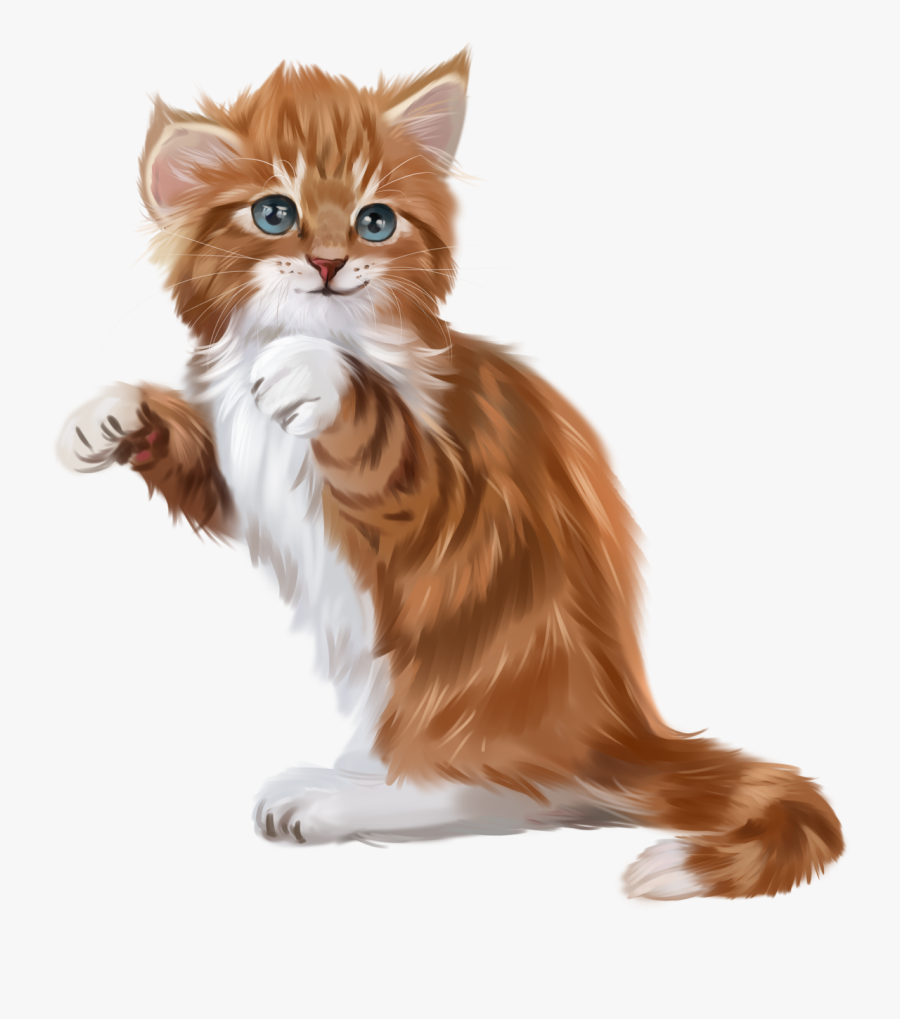 Domestic Long-haired Cat, Transparent Clipart