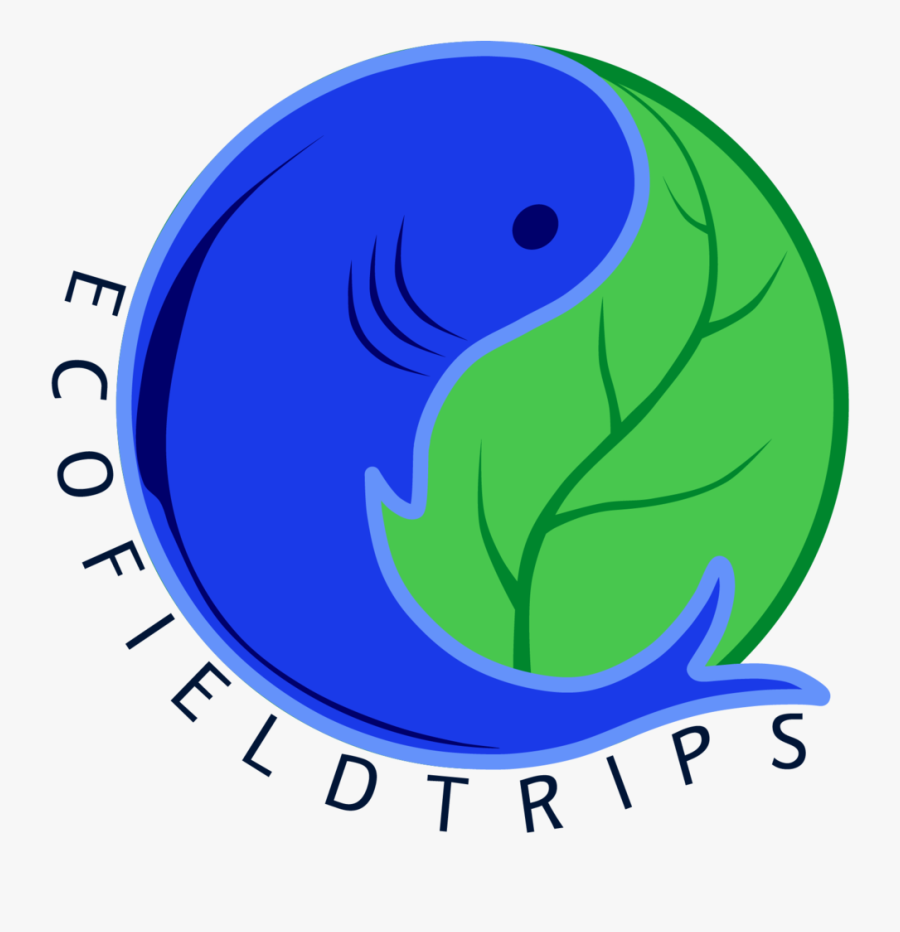 Geographer Clip Art, Transparent Clipart