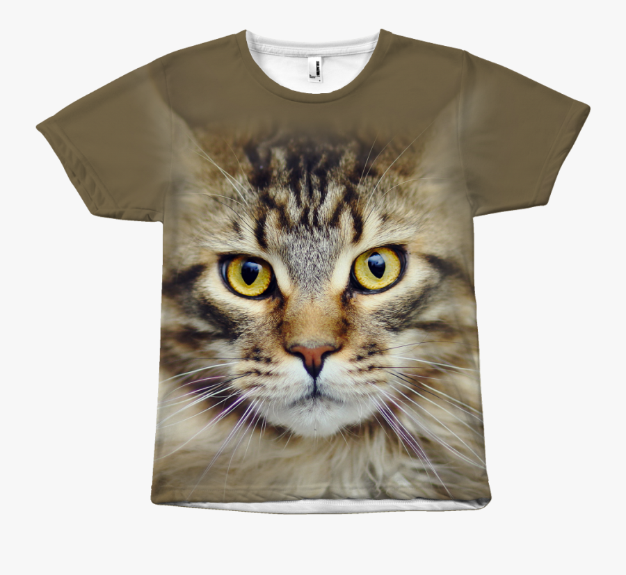 Maine Coon Cat Face - Maine Coon Cross Bengal, Transparent Clipart