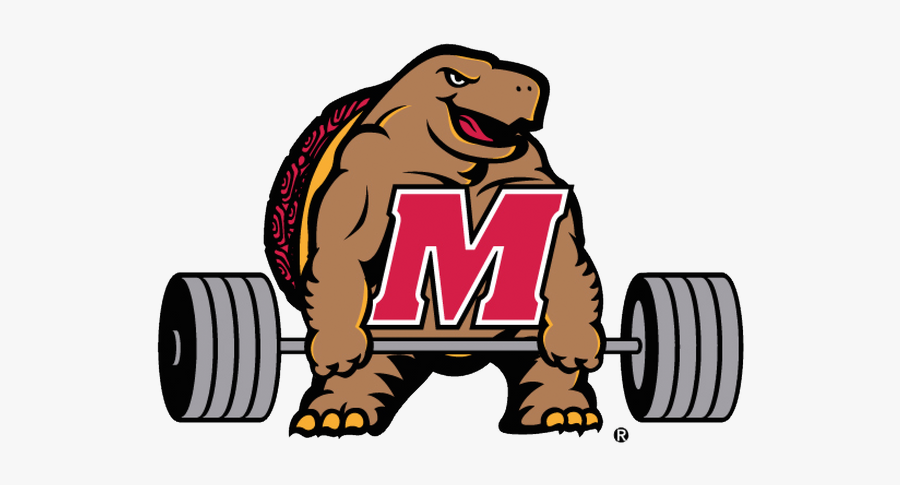 Thumbnail Image - University Of Maryland, Transparent Clipart