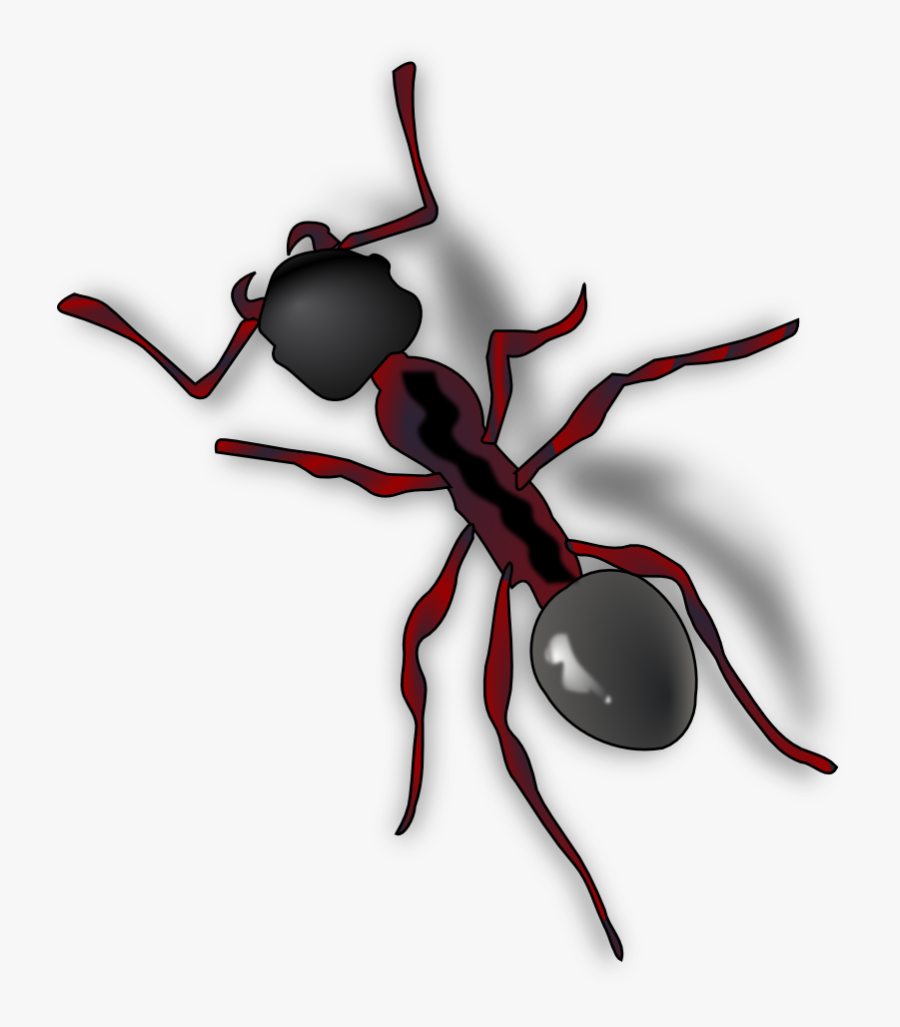 Ant - Ant Clip Art, Transparent Clipart