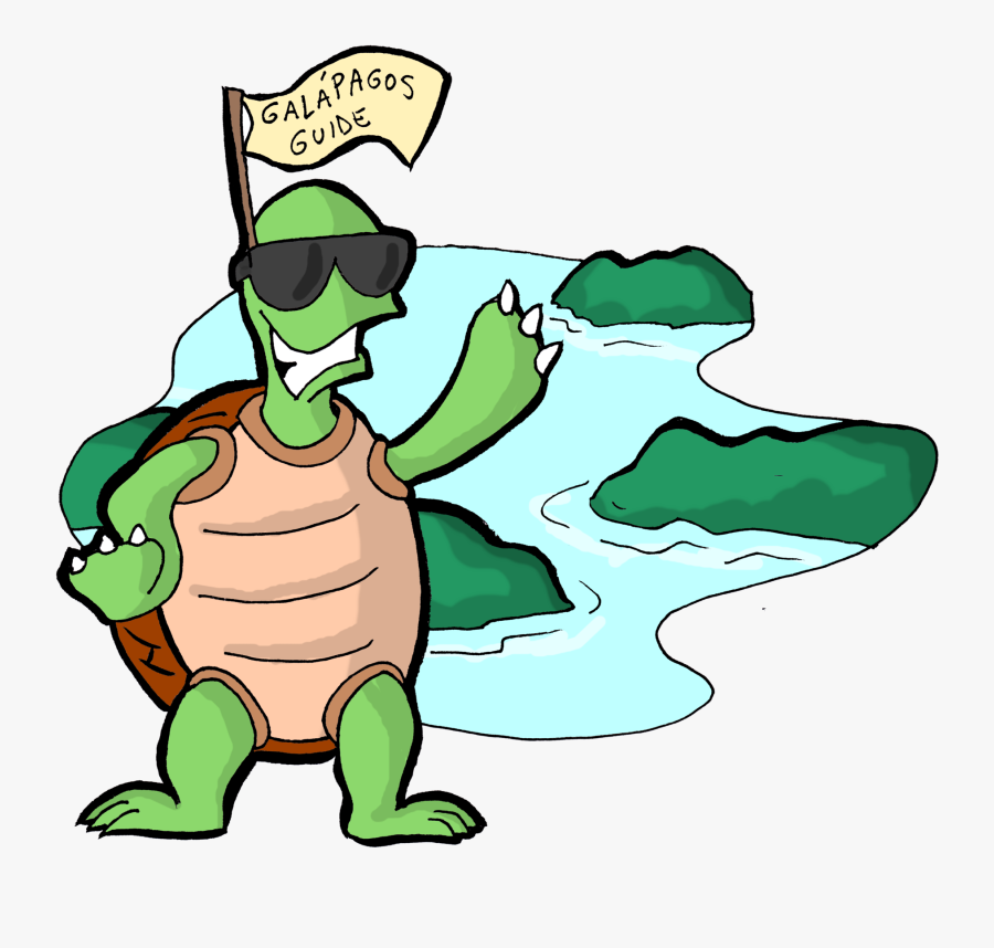 Tortoise Clipart Turtoise - Cartoon, Transparent Clipart