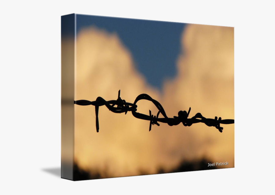 Barbed Wire City Clipart , Png Download - Barbed Wire, Transparent Clipart