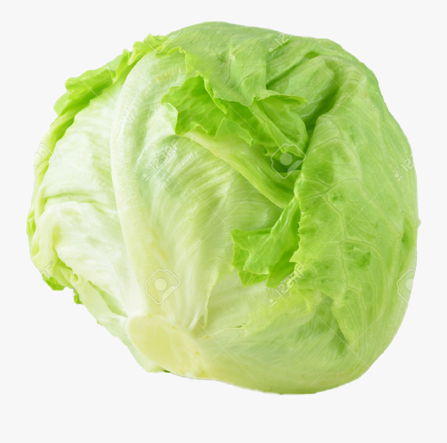 #lettuce - Iceberg Lettuce White Background, Transparent Clipart